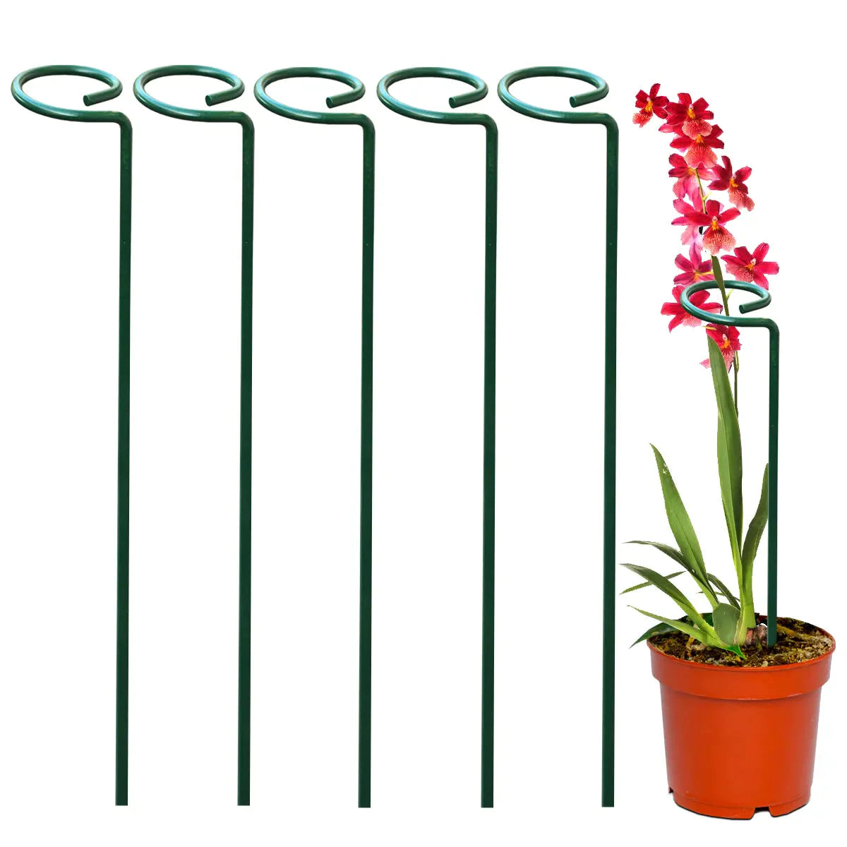 5Pcs Plant Support  Stakes